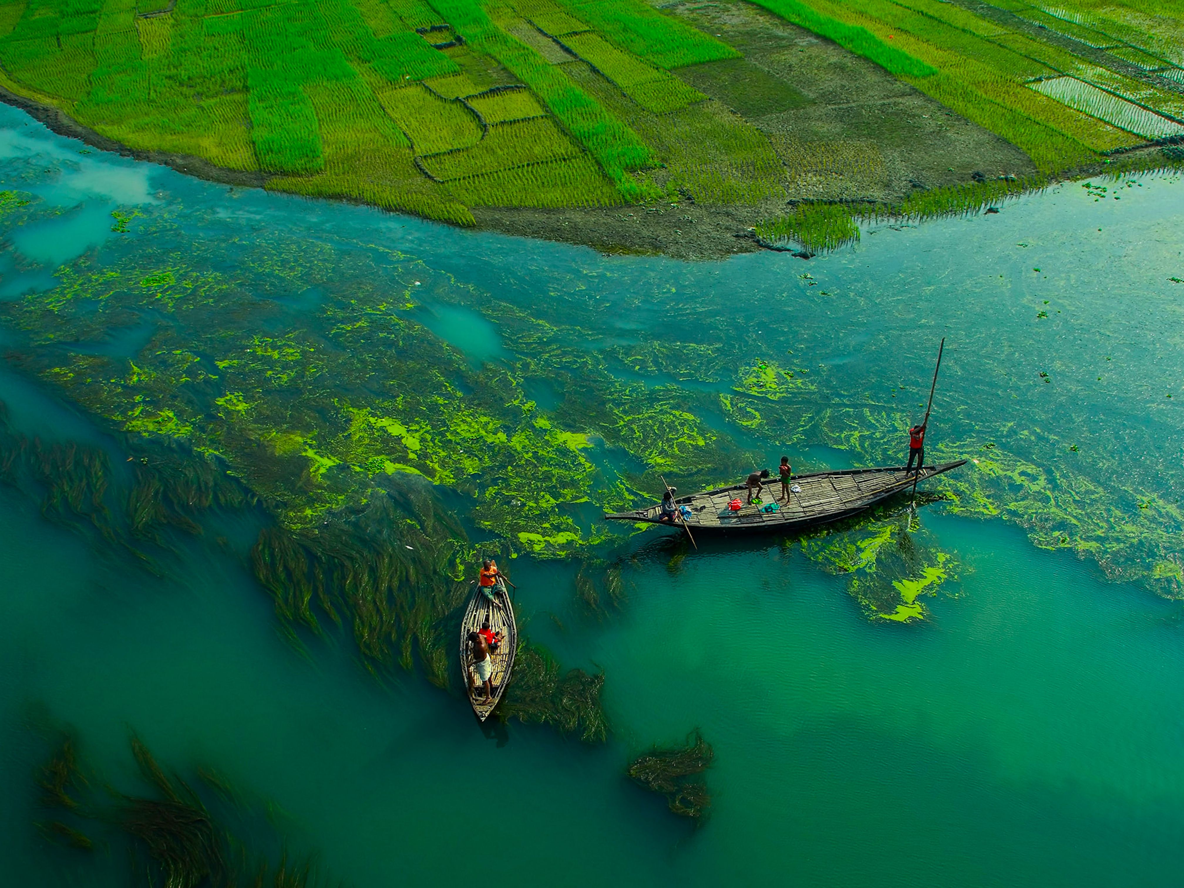 Shades of Ruposhi Bangla (রূপসী বাংলা – Beautiful Bengal)